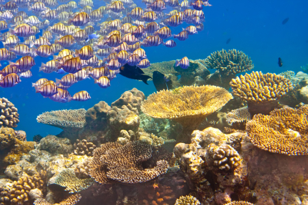 mauritius-1